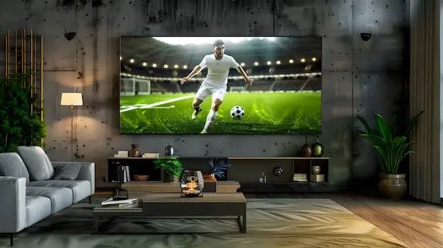 Expat IPTV service for FIFA World Cup matches